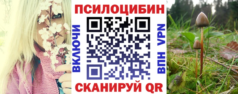 Псилоцибиновые грибы Psilocybine cubensis  Тавда 